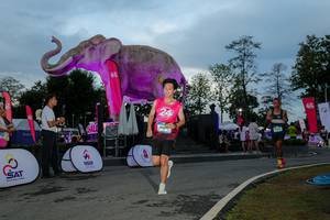 BIB: 
                            <button type="button" onclick="openModal(26529495)" class="btn btn-primary btn-sm float-right btn-popup" data-toggle="modal" data-target=".modal-high-quality">
                        <i class="fas fa-shopping-cart"></i> Add to Cart
                    </button>
                                            <button type="button" onclick="isThisMe(26529495, true)" class="btn btn-success btn-sm float-right btn-popup btn-isme hidden" data-toggle="tooltip" data-placement="bottom" title="นี่คือรูปของคุณใช่ไหม คลิกที่นี่เพื่อเอาเข้าอัลบั้ม">
                        <i class="fas fa-plus"></i> Add to album
                    </button>
                    <button type="button" onclick="isThisMe(26529495, false)" class="btn btn-warning btn-sm float-right btn-popup btn-isnotme hidden">
                        <i class="fas fa-ban"></i> Remove from album
                    </button>